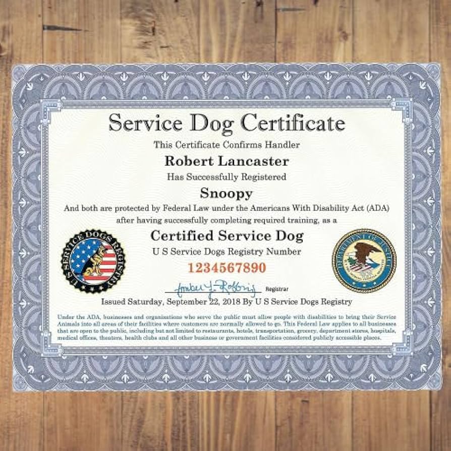 Certifying a Service Dog: A Step-by-Step Guide for Owners and Trainers