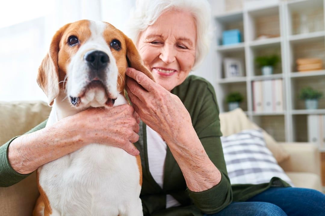 How Psychiatric Service Dogs Enhance Mental Health for Geriatric Individuals