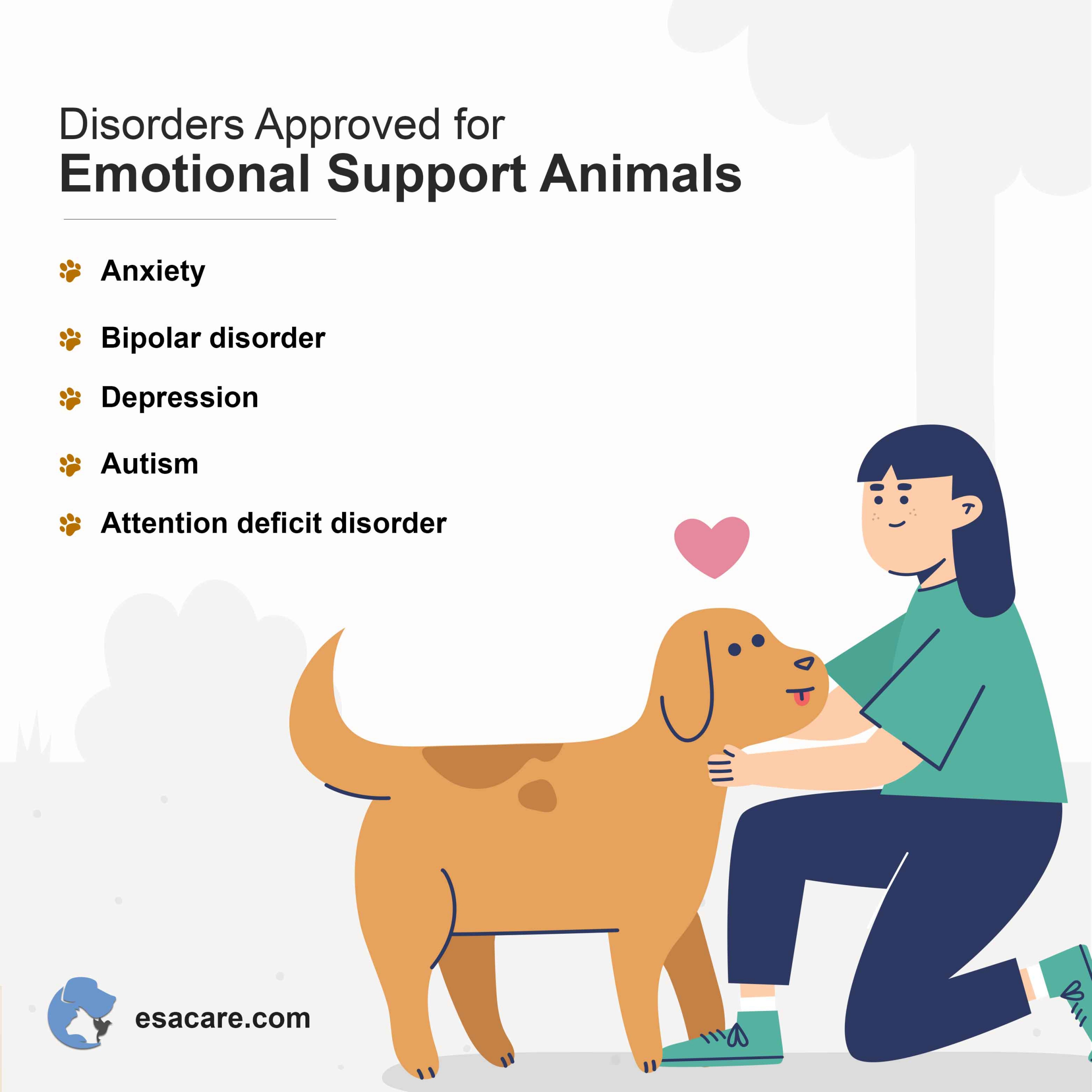 Understanding the Qualification Process for an Emotional Support Animal