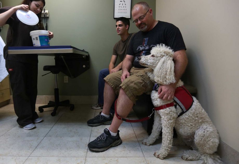 Understanding Tax Deductibility of Service Dog Veterinary Bills: A Comprehensive Guide