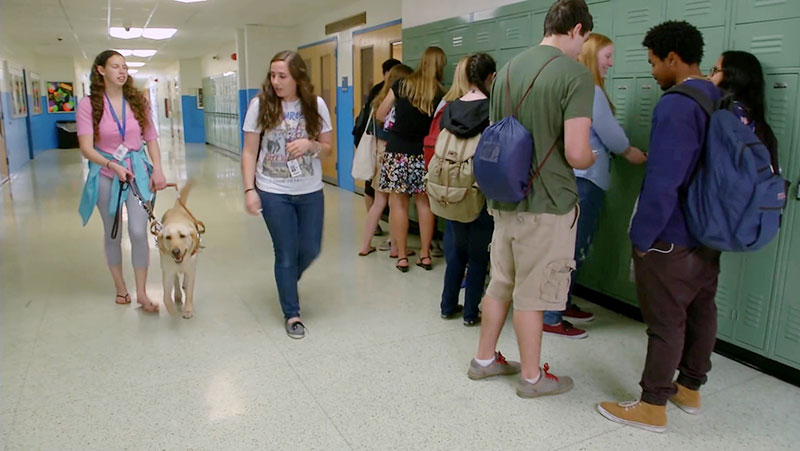 Supporting Inclusion: Bringing a Service Dog to School for Enhanced Education