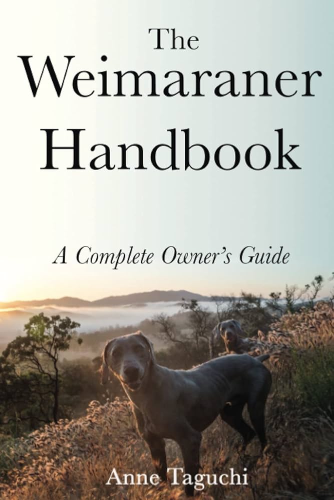 Understanding Weimaraner Behavior: A Comprehensive Guide for Dog Owners