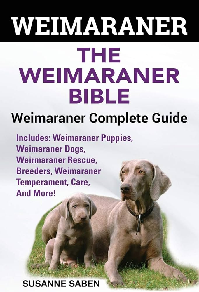 Decoding Weimaraner Behavior: A Comprehensive Guide to Understanding this Fascinating Breed