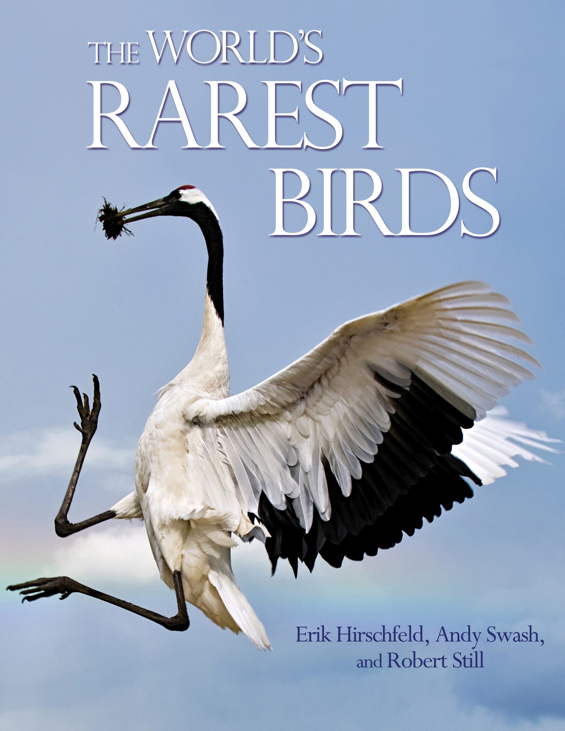 The Elusive Beauties: Exploring the World's Most Rare and Fascinating Birds