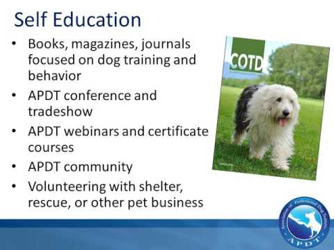 Unveiling the Role of Animal Behaviorist Education Training: Insights and Techniques for Understanding Animal Behavior