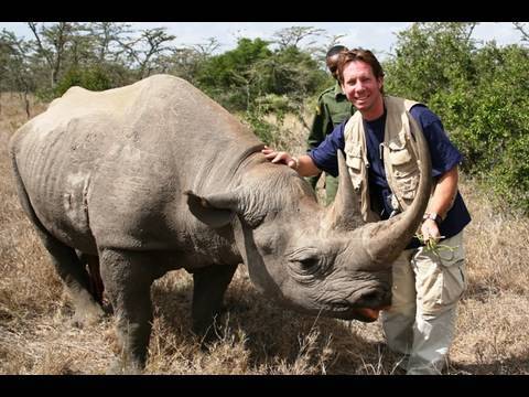 Can Humans Establish Friendly Relationships with Rhinos?