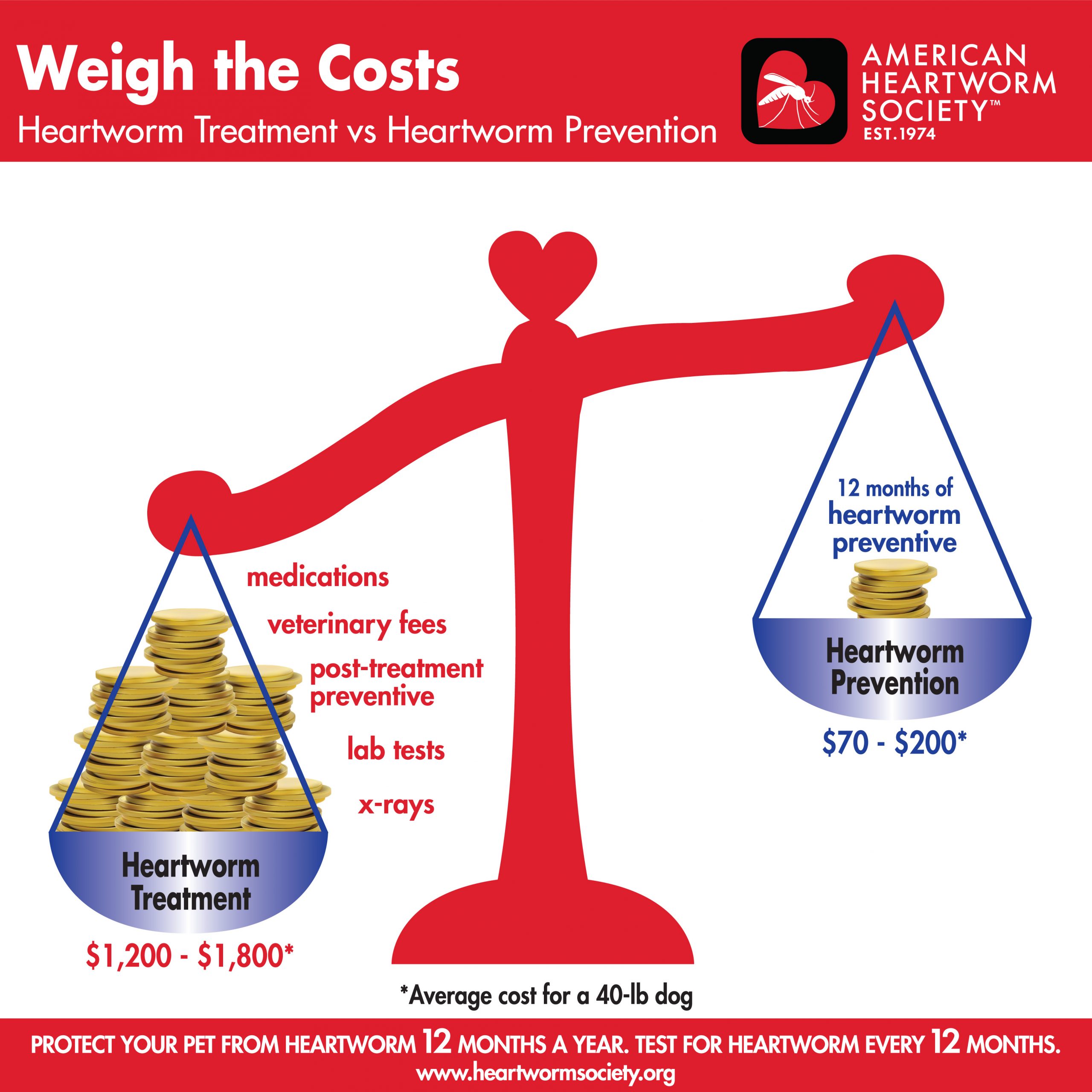 The Ins and Outs of Heartworm Tests and Treatment Expenses: Understanding the Cost in Detail