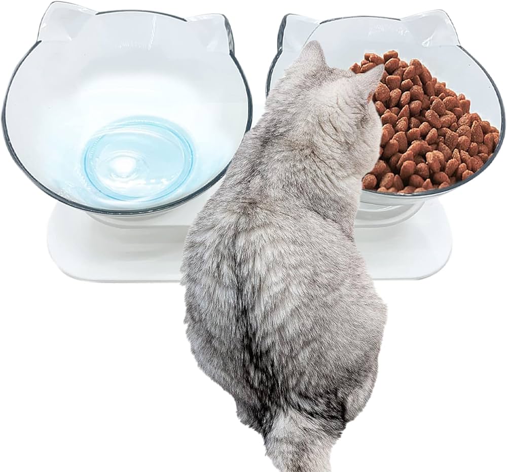 15 Common Foods That Are Toxic for Cats: What You Need to Know