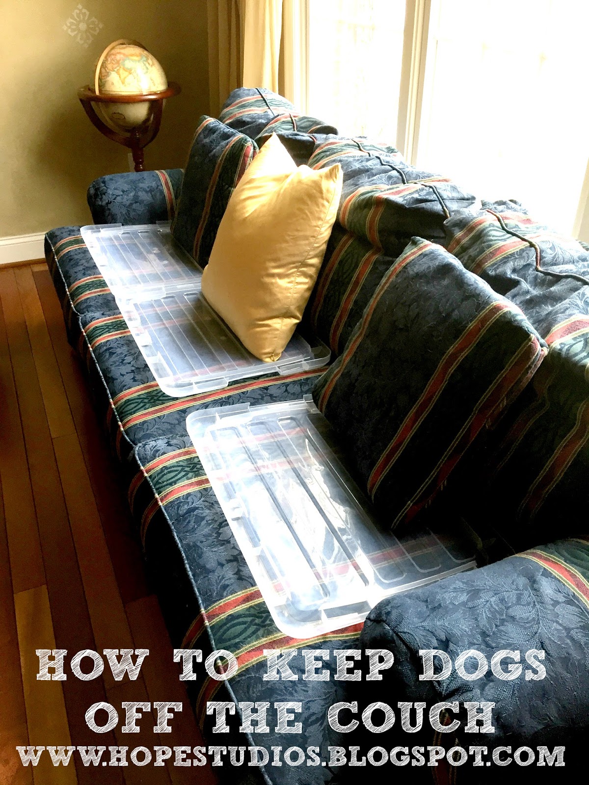 Simple Ways to Prevent Dogs from Jumping on the Couch