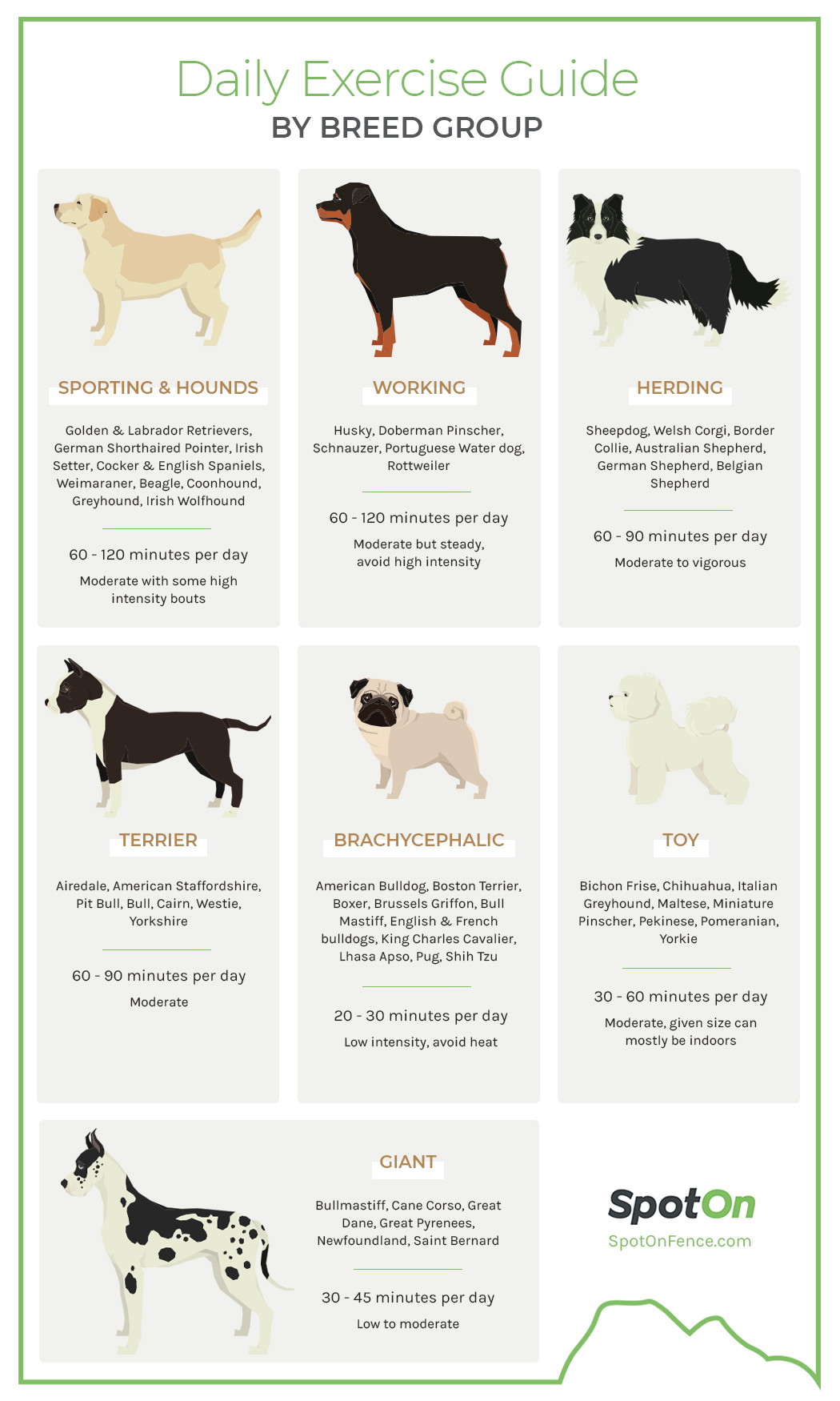 How to Determine the Ideal Amount of Exercise for Your Dog