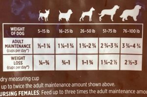 How to Determine the Right Portion Size for Your Dog's Meals