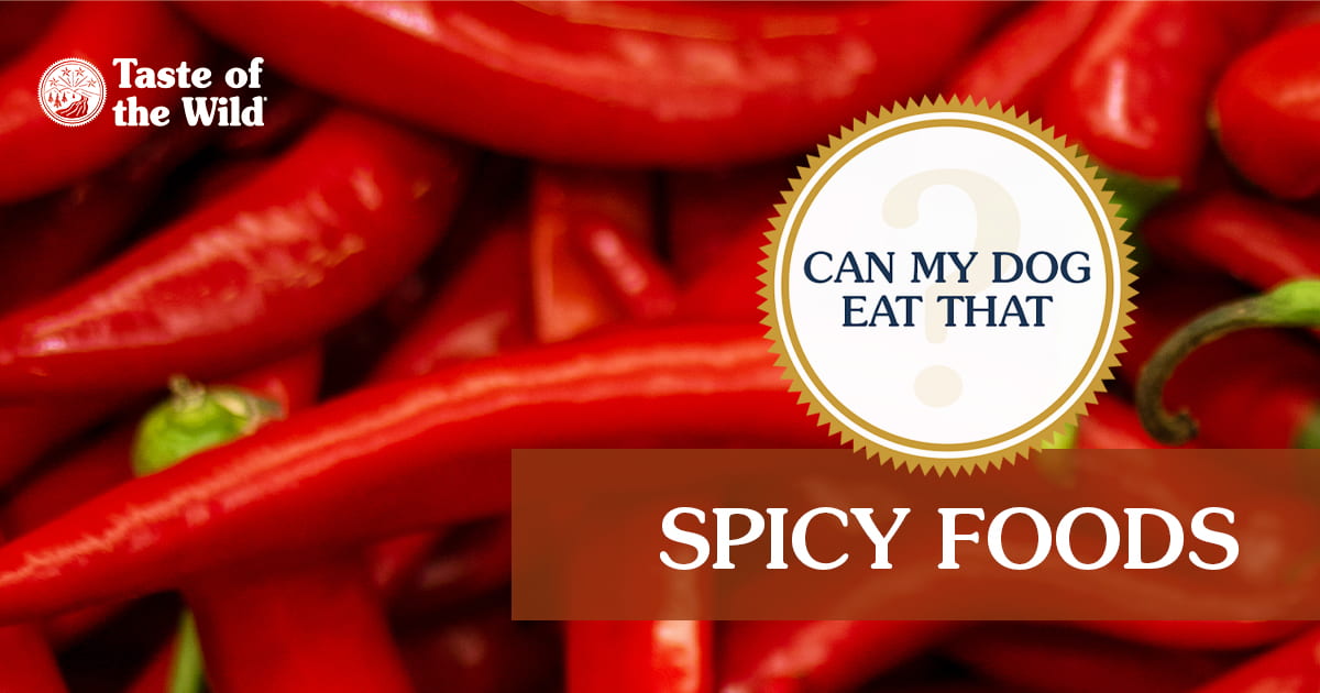 Can Dogs Tolerate Spicy Food? Understanding the Risks and Safe Choices