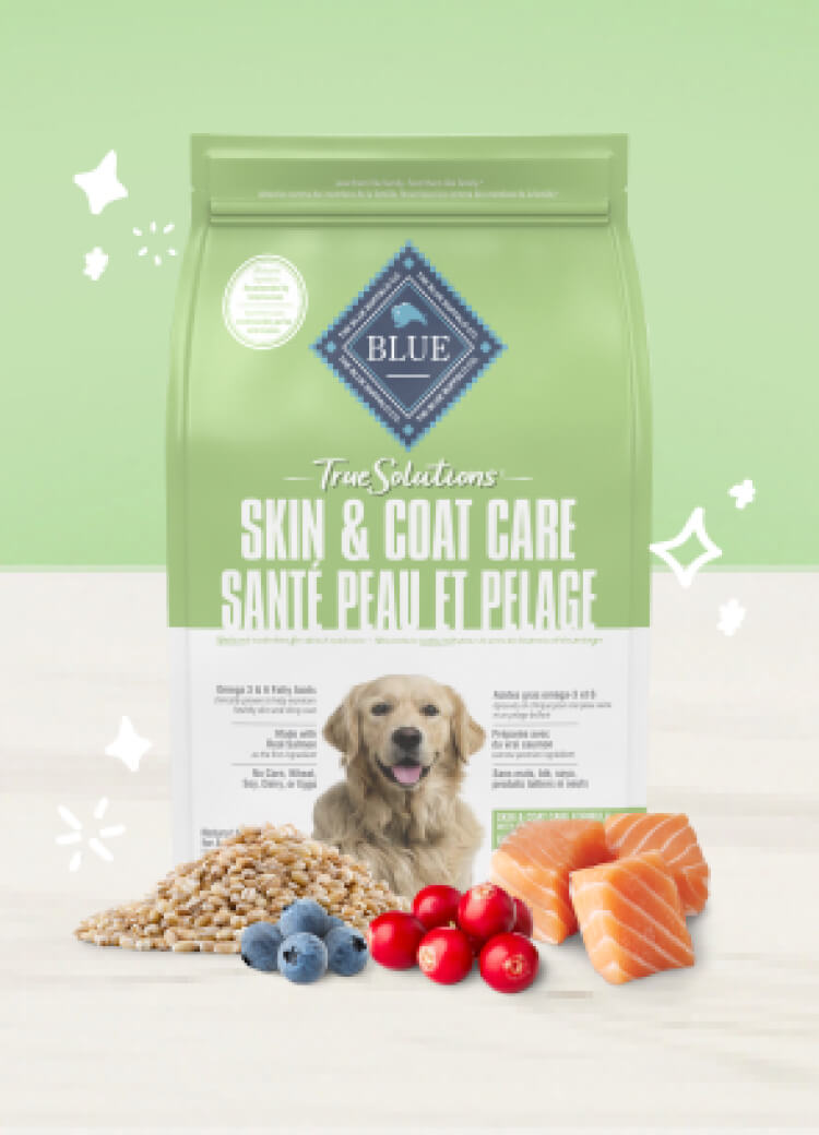 Top Dry Dog Foods to Relieve Skin Allergies and Promote Healthy Coats